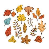 handgetekende herfstbladeren collectie vector