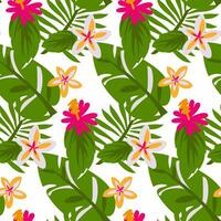 patroon met plumeria en hibiscus bloemen in geel, wit en roze bloemen met tropisch bladeren. botanisch structuur met bloemen in groot groen bladeren Aan een wit achtergrond. afdrukken Aan textiel, papier vector