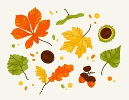 hand- getrokken verschillend herfst bladeren, eikel- en kastanje. kleur mode illustratie. vlak ontwerp. vector