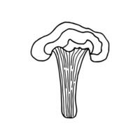 champignons van dieren in het wild, sporen organisme. mycologie. fabriek. mystiek champignons. tekening. hand- getrokken. vector illustratie. schets.