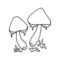 champignons van dieren in het wild, sporen organisme. mycologie. mystiek champignons. tekening. hand- getrokken. vector illustratie. schets