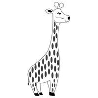 een vector illustratie van een schattig giraffe in zwart en wit kleur