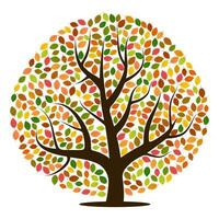 herfst boom met geel, oranje, bruin en groen bladeren. vector illustratie