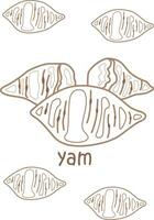 alfabet y voor yam woordenschat school- les tekenfilm kleur Pagina's voor kinderen en volwassen vector