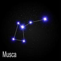 musca-sterrenbeeld met mooie heldere sterren op de achtergrond van kosmische hemel vectorillustratie vector