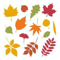 reeks van divers herfst bladeren. bladeren silhouet vector