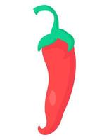 chili peper biologische groente voeding vector