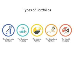 de investering portefeuille type variëren afhankelijk Aan de investering doelen, risico tolerantie, en financieel situatie van een persoon zo net zo agressief portefeuille vector