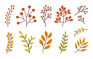 kleurrijk reeks van verschillend takken met bladeren, rood bessen geïsoleerd Aan een wit achtergrond. vector illustratie