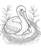 pelikaan eieren in de nest kleur bladzijde vector