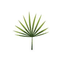 tropisch groen bladeren geïsoleerd illustratie vector