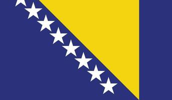 vlag van bosnië en herzegovina vector