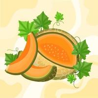 meloen fruit illustratie vector