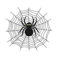 een zwart spin Aan een web. structuur van insect vallen. decor voor halloween viering. geïsoleerd grafisch sjabloon. vector illustratie.