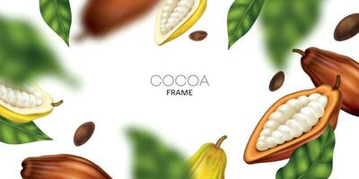realistisch cacao kader vector
