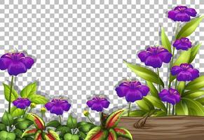 paars bloem frame vector