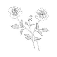 hand getekende roos bloemen illustratie. vector