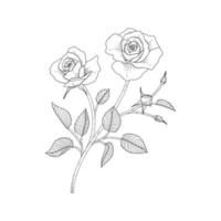 hand getekende roos bloemen illustratie. vector