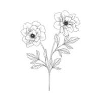 hand getekende pioen bloemen illustratie. vector