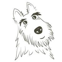 Schots terriër vector illustratie. een ras van jacht- hond. schattig pup. geïsoleerd Aan een wit achtergrond.