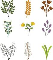 botanisch vlak illustratie. vector element reeks