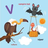 illustratie geïsoleerde alfabet letter v-vampier, adder,vulture.vector vector
