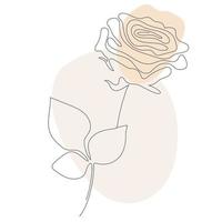 Rose lijntekeningen - mooie bloem. vector. doorlopende lijntekening. abstract minimaal bloemontwerp voor omslag, prints, home decor foto, decor, design, posters vector