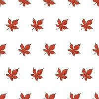 herfst blad naadloos patroon Aan een wit achtergrond. herfst bladeren of vallen gebladerte thema vector illustratie