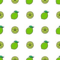 limoen fruit naadloos patroon Aan een wit achtergrond. vers limoen vector illustratie