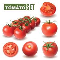realistische tomaat fruit collectie vectorillustratie vector