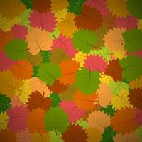 achtergrond met herfst bladeren. vector illustratie