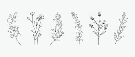 minimaal botanisch handtekeningontwerp voor logo en huwelijksuitnodiging. bloemen lijntekeningen. bloem en bladeren design collectie voor boeketten decoratie, kaart en verpakking achtergrond. vector