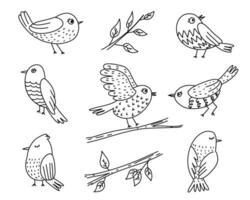 schattig vogel tekening vector