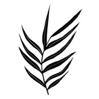 vector zwart palm blad silhouet.