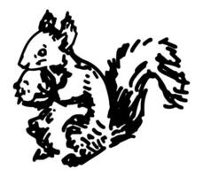 schetsen van schattig eekhoorn eet noot. hand- getrokken vector illustratie. tekening van Woud wild dier. single tekening geïsoleerd Aan wit. element voor ontwerp, decor
