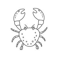 hand- getrokken tekenfilm vector illustratie schattig krab icoon geïsoleerd Aan wit achtergrond