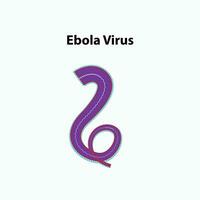 de structuur van ebola virus anatomie vector