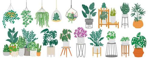 binnen- planten met decoratief kas elementen. groen planten staand in potten Aan planken, hangende in planter, macrame Bij knus interieur geïsoleerd Aan wit achtergrond. vector reeks