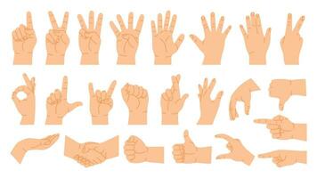 handen poseert. tekenfilm hand- gebaren tellen Aan vingers, wijzend, handdruk, duim omhoog Leuk vinden en afkeer. menselijk palm vector illustratie reeks