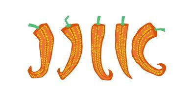 rood Chili peper set. pittig ingrediënten, Mexicaans koud, paprika. tekenfilm vector illustraties voor voedsel, Koken, groente concept
