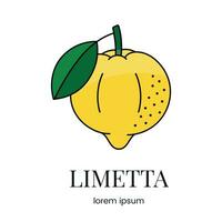 limetta citrus fruit, lijn icoon in vector naar aangeven Aan voedsel verpakking over de aanwezigheid van deze allergeen