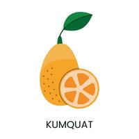 vector illustratie van kumquat, overbrengen sappigheid en levendig kleur. ideaal voor vers en levendig ontwerpen.