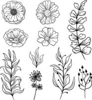 hand- getrokken bloemen illustratie wild bloem lijn kunst vector