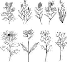hand- getrokken bloemen illustratie wild bloem lijn kunst vector