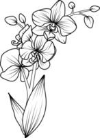 orchidee zwart en wit vector tekening