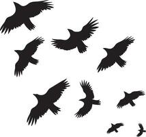silhouetten van vogelstand vliegend in groep vector