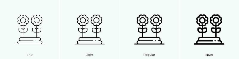 zonnebloemen icoon. dun, licht, regelmatig en stoutmoedig stijl ontwerp geïsoleerd Aan wit achtergrond vector