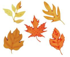 herfst 3d Aan transparant achtergrond PNG vector