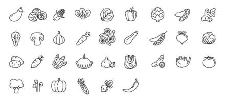 groente icoon set. minimaal dun lijn stijl. schets pictogrammen verzameling groenten courgette, tomaat, radijs, paddestoel, gember, broccoli, maïs daikon vector illustratie ontwerp Aan wit achtergrond eps 10