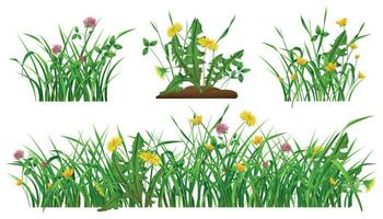 wild bloemen realistisch reeks vector